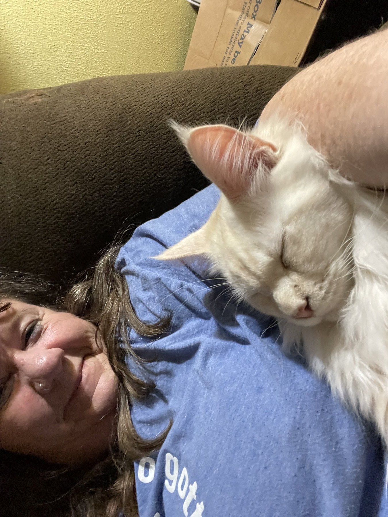Ellen Clark at home with a cream Maine Coon on her chest